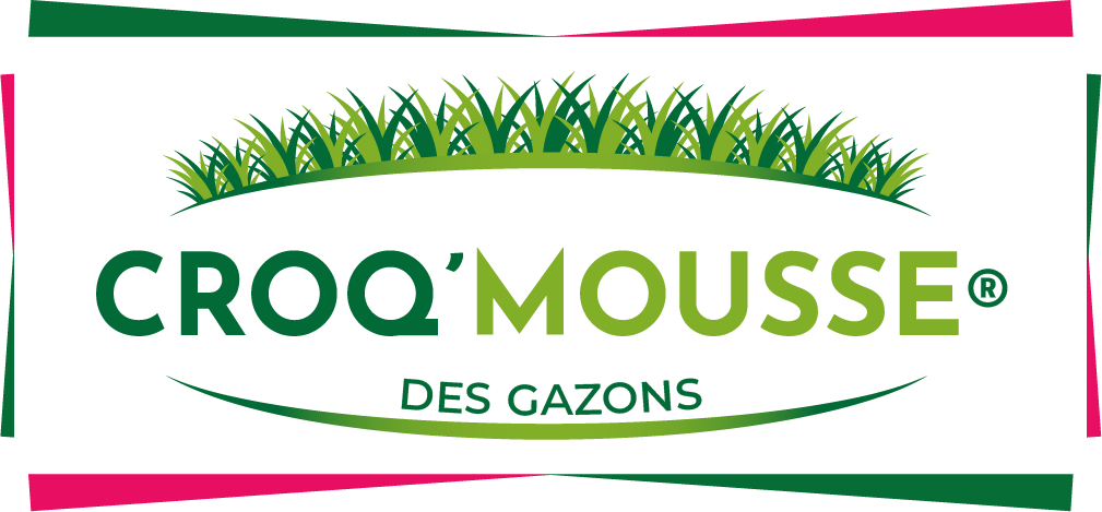 Croqmousse